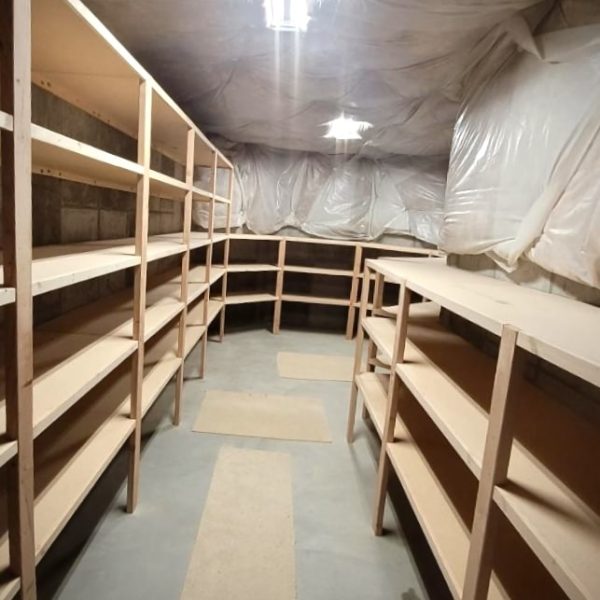 Resized_Resized_20231013_130245